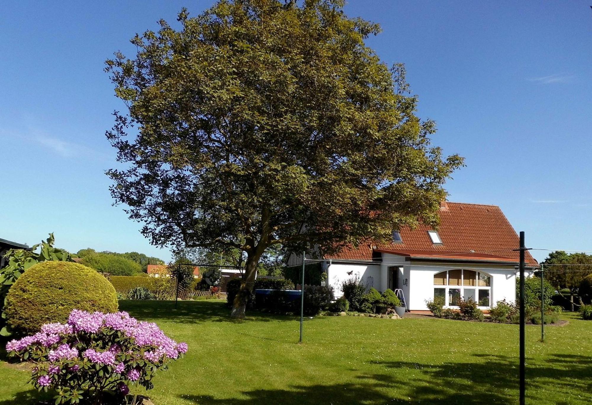 Bungalow Und Ferienwohnung Auf Ruegen Kluis Bagian luar foto